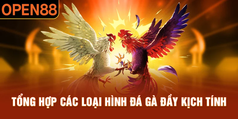 Tổng hợp các loại hình đá gà đầy kịch tính